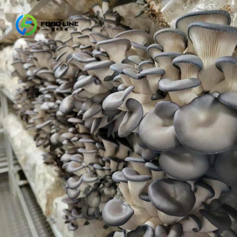 ฟาร์มคอนเทนเนอร์แบบโมดูลาร์สำห - Farming Agriculture Project บทวิจารณ์และราคา