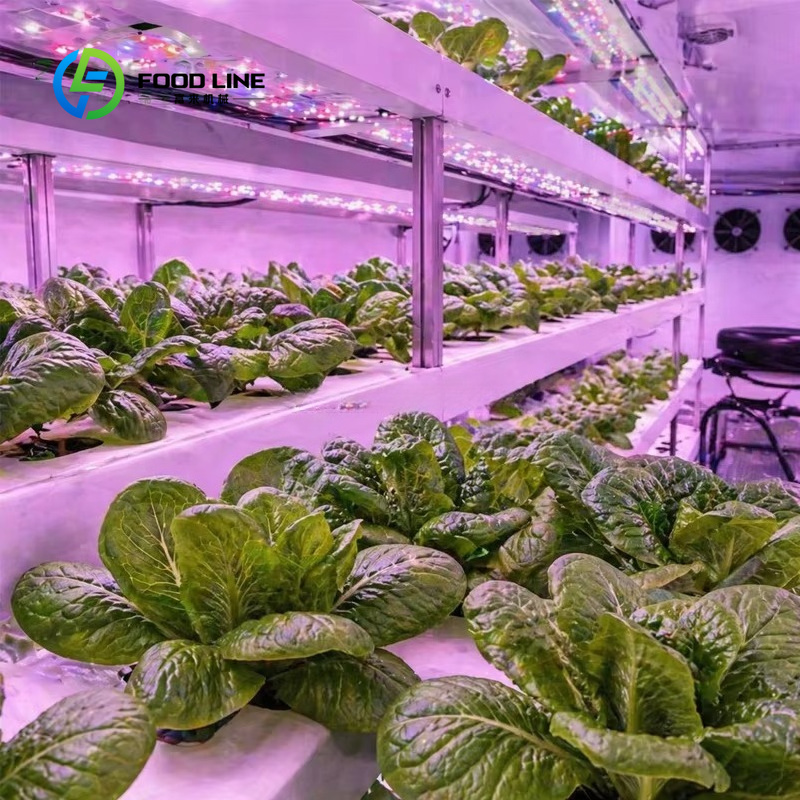 ฟาร์มปลูกผักใบเขียวเชิงพาณิชย์ - Farming Agriculture Project บทวิจารณ์และราคา