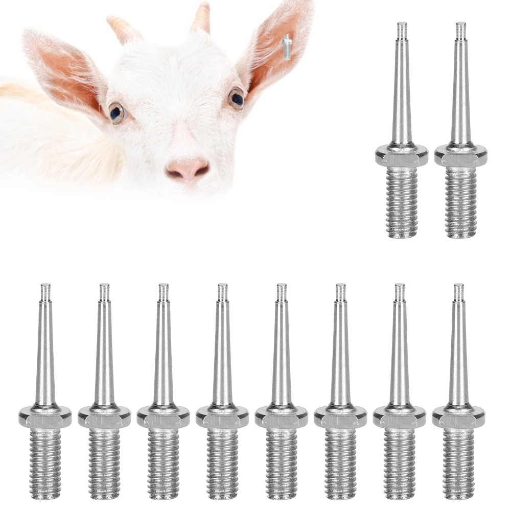 เข็มติดป้ายหูสัตว์สแตนเลสแบบใช - Livestock Ear Tag บทวิจารณ์และราคา