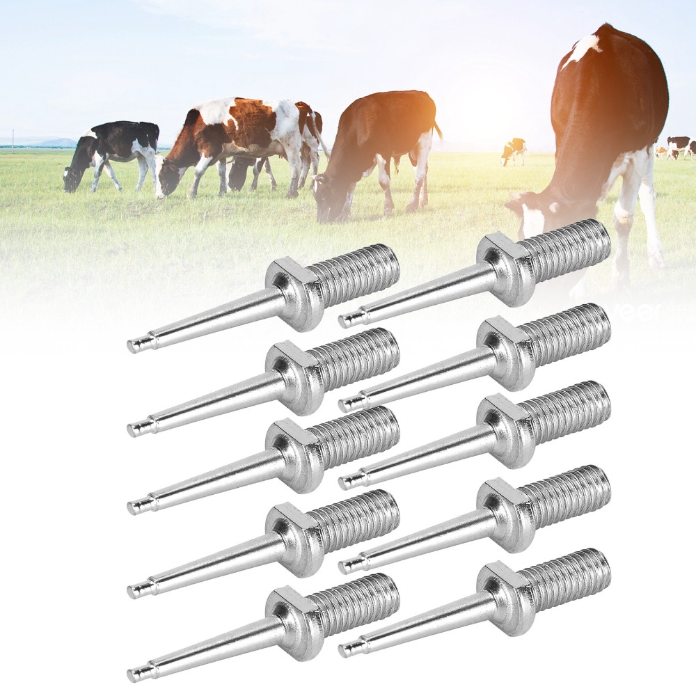 เข็มติดป้ายหูสัตว์สแตนเลสแบบใช - Livestock Ear Tag บทวิจารณ์และราคา