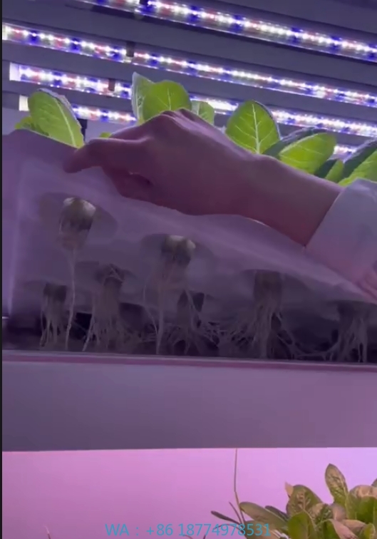 อุปกรณ์การเกษตรในโรงเรือนเพาะเ - Farming Agriculture Equipment บทวิจารณ์และราคา