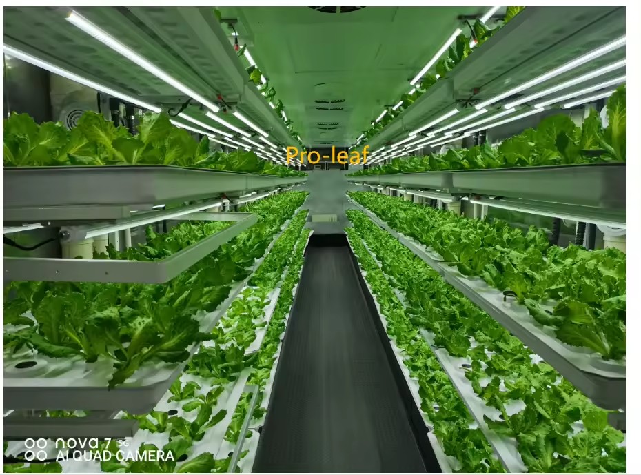 อุปกรณ์การเกษตรในโรงเรือนเพาะเ - Farming Agriculture Equipment บทวิจารณ์และราคา