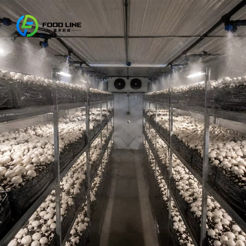 ระบบฟาร์มปลูกผักแนวตั้งแบบคอนเ - Farming Agriculture Project บทวิจารณ์และราคา