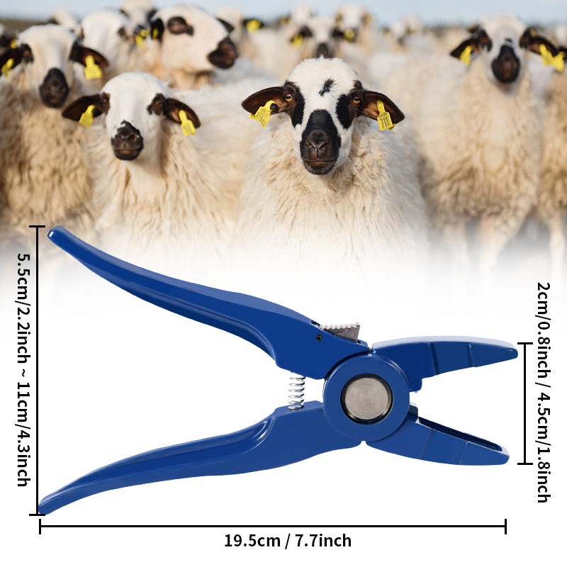 แท็กหูแกะแบบรวม 100 ชิ้น/คีมติ - Livestock Ear Tag บทวิจารณ์และราคา