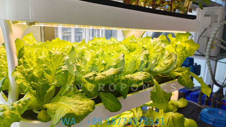 เครื่องจักรการเกษตรสำหรับปลูกผ - Farming Agriculture Equipment บทวิจารณ์และราคา