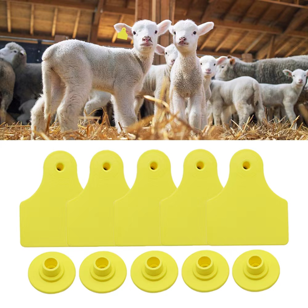 ป้ายหูสัตว์ปีก 20 ชิ้น ขนาด 40 - Livestock Ear Tag บทวิจารณ์และราคา