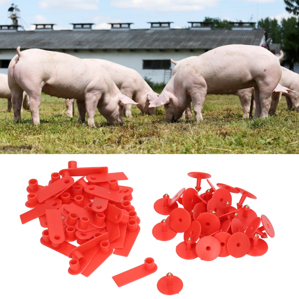ป้ายหูสัตว์แบบเขียนได้ 100 ชิ้ - Livestock Ear Tag บทวิจารณ์และราคา