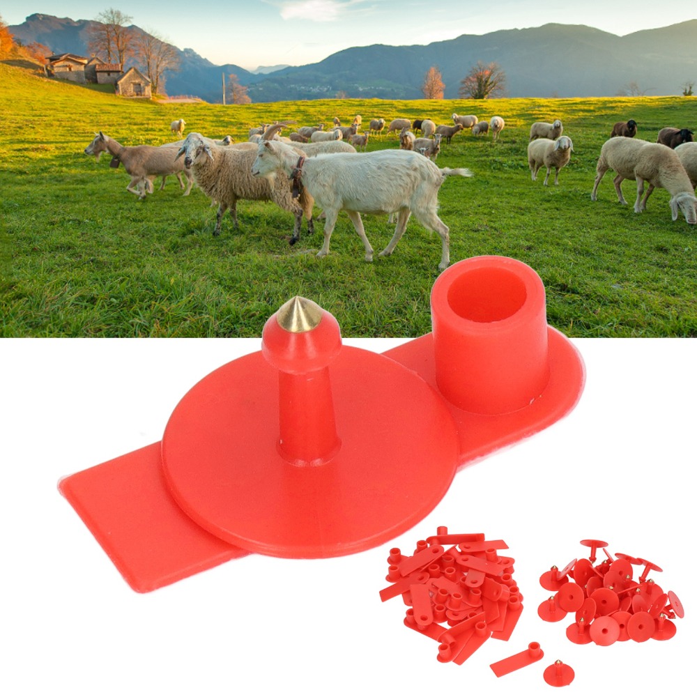 ป้ายหูสัตว์แบบเขียนได้ 100 ชิ้ - Livestock Ear Tag บทวิจารณ์และราคา