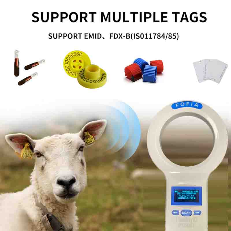 เครื่องสแกน RFID สำหรับสัตว์เล - Livestock Ear Tag บทวิจารณ์และราคา