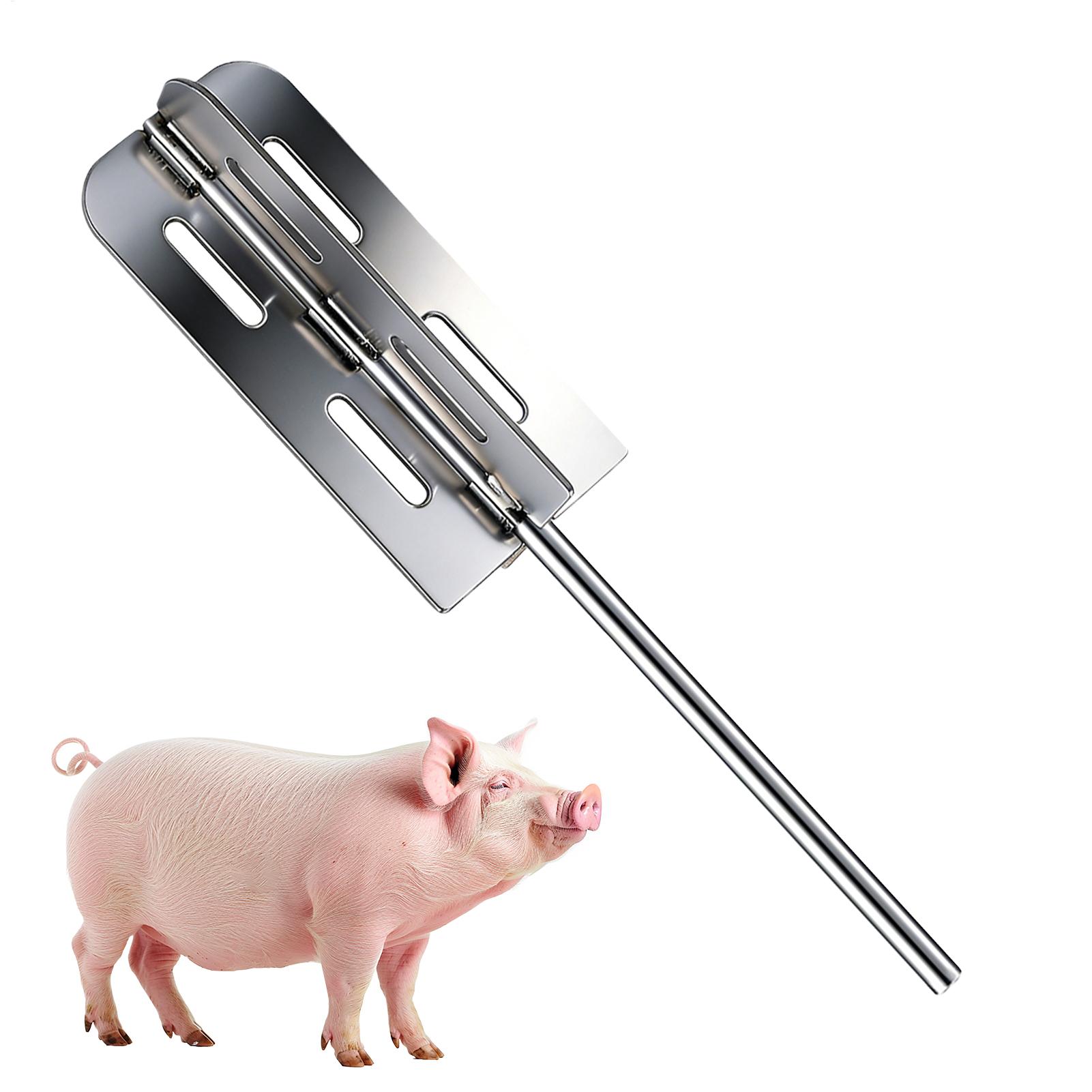 เครื่องมือกำจัดขนหมู สแตนเลส ใ - Farming Farmer บทวิจารณ์และราคา